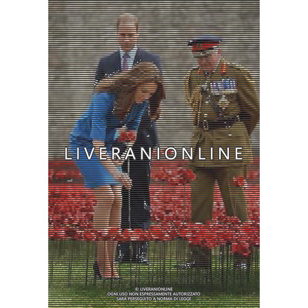 The Duchess of Cambridge adds a ceramic poppy, watched by her husband the Duke of Cambridge and Lord Dannatt, Constable of the Tower of London, as they view the Tower of London\'s \'Blood Swept Lands and Seas of Red\' poppy installation which commemorate the 100th anniversary of the outbreak of First World War. AG ALDO LIVERANI SAS ONLY ITALY