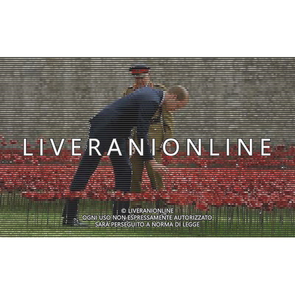 The Duke of Cambridge adds a ceramic poppy as he views the Tower of London\'s \'Blood Swept Lands and Seas of Red\' poppy installation which commemorate the 100th anniversary of the outbreak of First World War. AG ALDO LIVERANI SAS ONLY ITALY