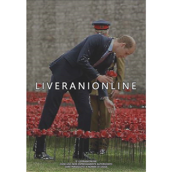 The Duke of Cambridge adds a ceramic poppy as he views the Tower of London\'s \'Blood Swept Lands and Seas of Red\' poppy installation which commemorate the 100th anniversary of the outbreak of First World War. AG ALDO LIVERANI SAS ONLY ITALY