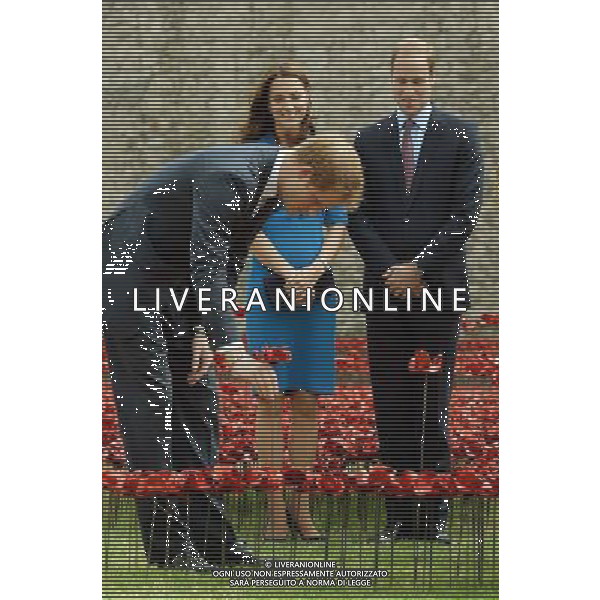 Prince Harry adds a ceramic poppy, watched the Duke and Duchess of Cambridge, as they view the Tower of London\'s \'Blood Swept Lands and Seas of Red\' poppy installation which commemorate the 100th anniversary of the outbreak of First World War. AG ALDO LIVERANI SAS ONLY ITALY