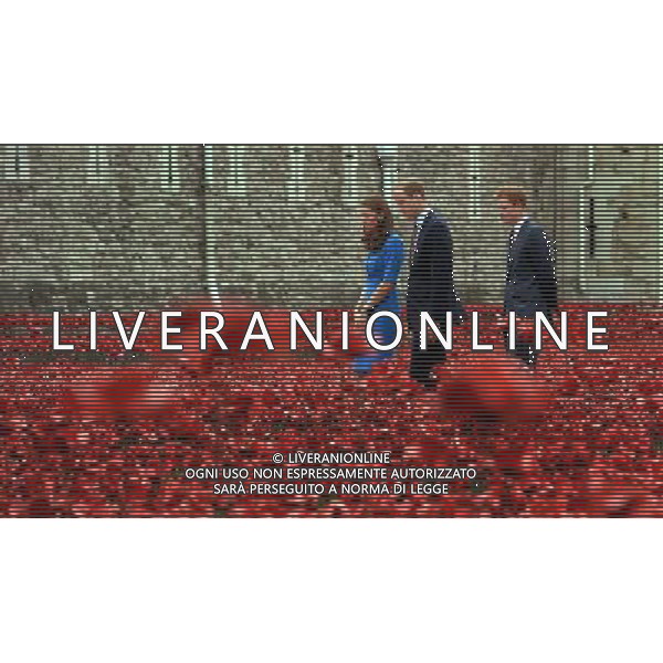 The Duke and Duchess of Cambridge accompanied by Prince Harry view the Tower of London\'s \'Blood Swept Lands and Seas of Red\' poppy installation which commemorate the 100th anniversary of the outbreak of First World War. AG ALDO LIVERANI SAS ONLY ITALY