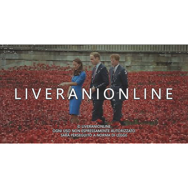 The Duke and Duchess of Cambridge accompanied by Prince Harry view the Tower of London\'s \'Blood Swept Lands and Seas of Red\' poppy installation which commemorate the 100th anniversary of the outbreak of First World War. AG ALDO LIVERANI SAS ONLY ITALY