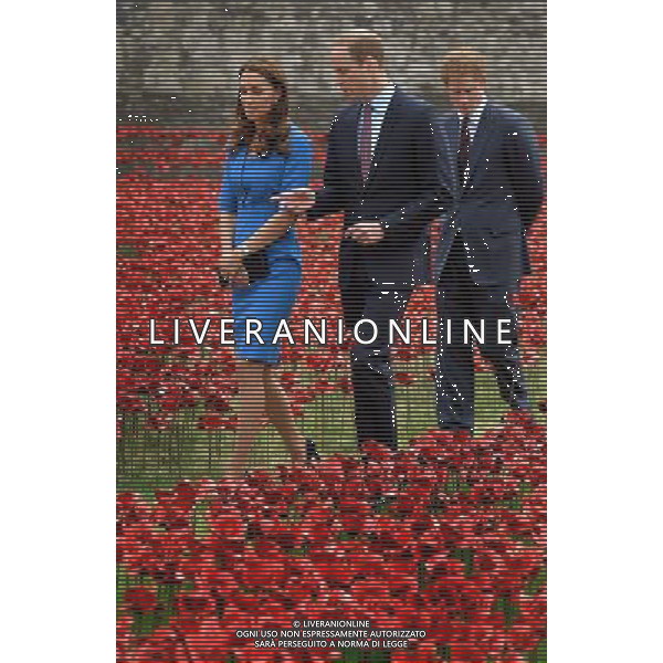 The Duke and Duchess of Cambridge accompanied by Prince Harry view the Tower of London\'s \'Blood Swept Lands and Seas of Red\' poppy installation which commemorate the 100th anniversary of the outbreak of First World War. AG ALDO LIVERANI SAS ONLY ITALY