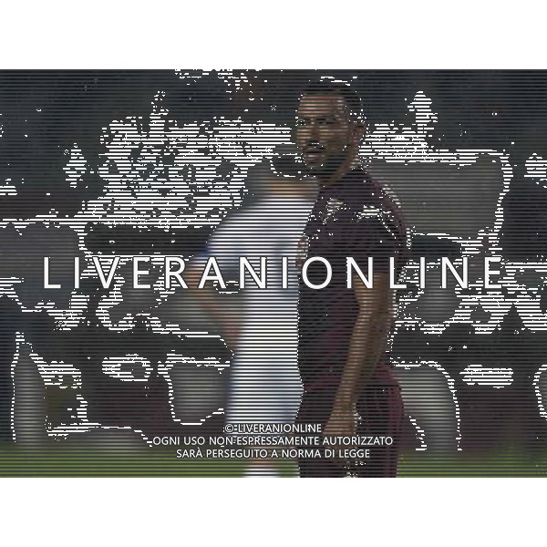 UEFA Europa League 2014/2015 Terzo Turno di Qualificazione Ritorno Torino - 07.08.2014 Torino-Brommapojkarna Nella Foto:quagliarella /Ph.Vitez-Ag. Aldo Liverani