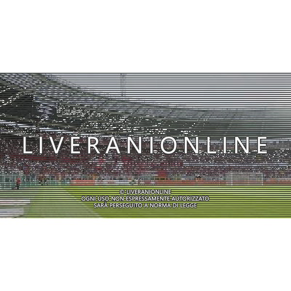 UEFA Europa League - 3Â° turno preliminare Torino 7-08-2014 Stadio Olimpico Torino - Brommapojkarna nella foto tifosi del Torino in curva Maratona foto Roberto Garavaglia - ag. Aldo Liverani