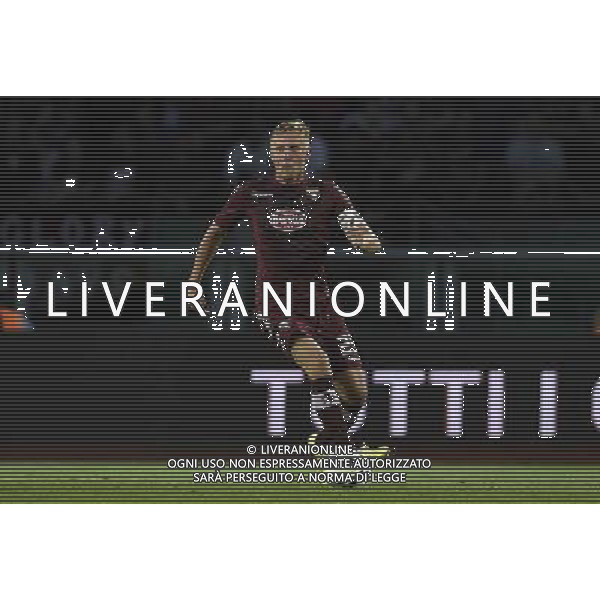 UEFA Europa League 2014/2015 Terzo Turno di Qualificazione Ritorno Torino - 07.08.2014 Torino-Brommapojkarna Nella Foto:Glik Kamil /Ph.Vitez-Ag. Aldo Liverani