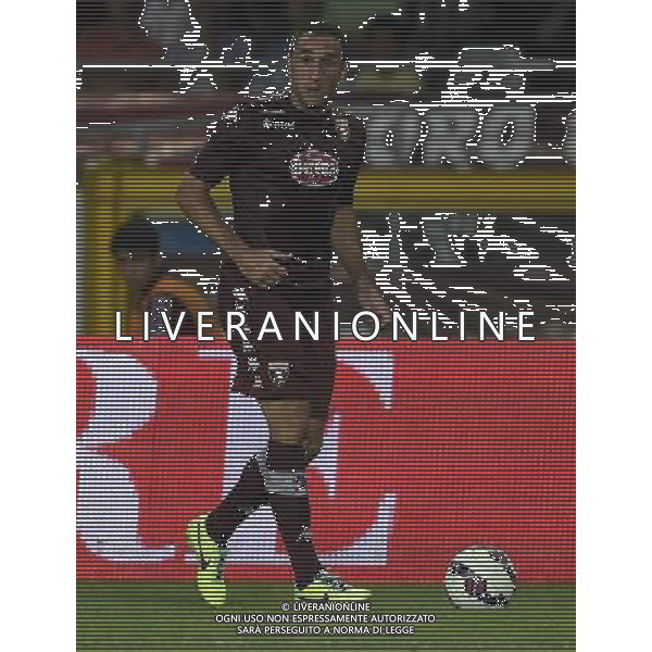 UEFA Europa League 2014/2015 Terzo Turno di Qualificazione Ritorno Torino - 07.08.2014 Torino-Brommapojkarna Nella Foto:Molinaro Cristian /Ph.Vitez-Ag. Aldo Liverani
