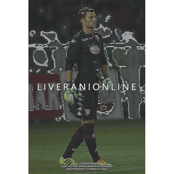UEFA Europa League 2014/2015 Terzo Turno di Qualificazione Ritorno Torino - 07.08.2014 Torino-Brommapojkarna Nella Foto:Padelli Daniele /Ph.Vitez-Ag. Aldo Liverani