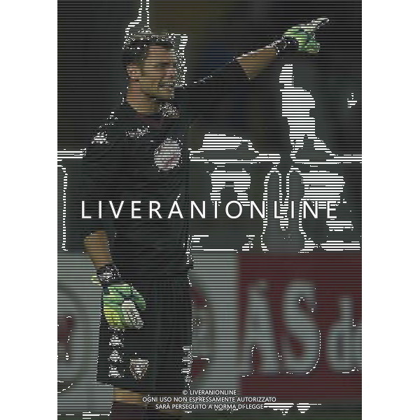 UEFA Europa League 2014/2015 Terzo Turno di Qualificazione Ritorno Torino - 07.08.2014 Torino-Brommapojkarna Nella Foto:Padelli Daniele /Ph.Vitez-Ag. Aldo Liverani