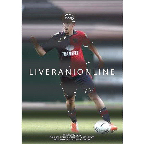 magri CALCIO:LUMEZZANE SINGOLI.darfo(BS) 27 luglio 2014 ph Fotolive/Guitti Alessio AG ALDO LIVERANI SAS