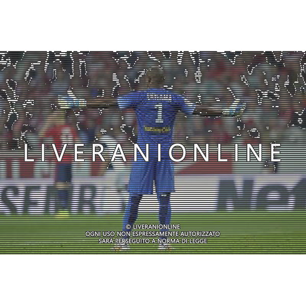 Vincent ENYEAMA - 09.08.2014 - Lille / Metz - 1er journee de Ligue 1 Photo : Aurelien Meunier / Icon Sport /Agenzia Aldo Liverani sas - ITALY ONLY - EDITORIAL USE ONLY