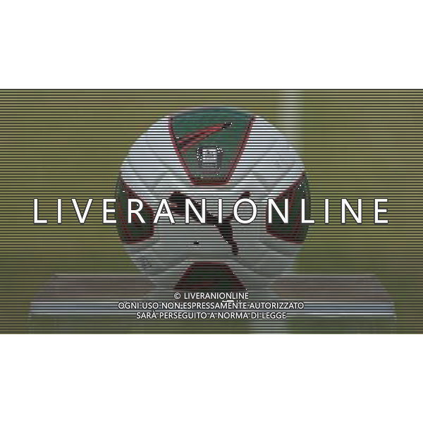 Coppa Italia TIM Cup 2014/2015 Primo Turno Eliminatorio Cremona - 10.08.2014 Cremonese-Nuova Cosenza Nella Foto:Pallone Lega Pro /Ph.Vitez-Ag. Aldo Liverani
