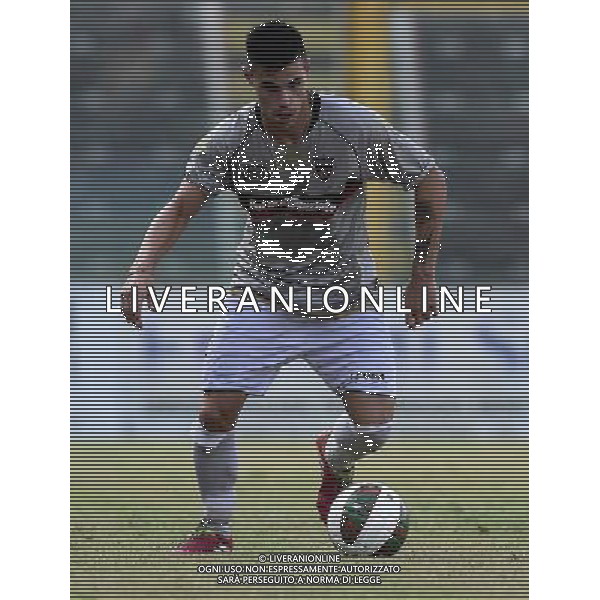 Coppa Italia TIM Cup 2014/2015 Primo Turno Eliminatorio Cremona - 10.08.2014 Cremonese-Nuova Cosenza Nella Foto: /Ph.Vitez-Ag. Aldo Liverani