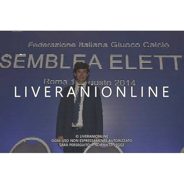 ROMA 11-08-2014 ASSEMBLEA ELETTIVA NUOVO PRESIDENTE FEDERALE NELLA FOTO DEMETRIO ALBERTINI FOTO CORRADETTI-AG ALDO LIVERANI SAS