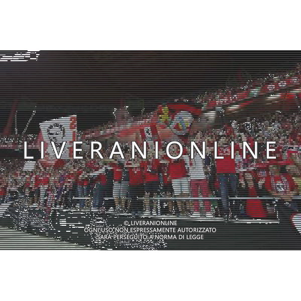 Supporters Benfica - 10.08.2014 - Benfica / Rio Ave - Supercoupe du Portugal 2014 Photo : Carlos Rodrigues / Icon Sport