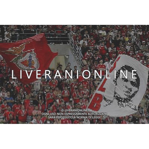 Supporters Benfica - 10.08.2014 - Benfica / Rio Ave - Supercoupe du Portugal 2014 Photo : Carlos Rodrigues / Icon Sport