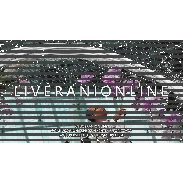 (140811) -- SINGAPORE, Aug. 11, 2014 () -- Japan\'s landscape designer Jun-ichi Inada works on his design for \'Orchid Extravaganza @ Flower Dome\' at the Singapore\'s Garden by the Bay on Aug. 11, 2014. The Singapore Garden Festival will open on Aug. 16.(/Then Chih Wey) ©PHOTOSHOT/Agenzia Aldo Liverani sas - ITALY ONLY - EDITORIAL USE ONLY