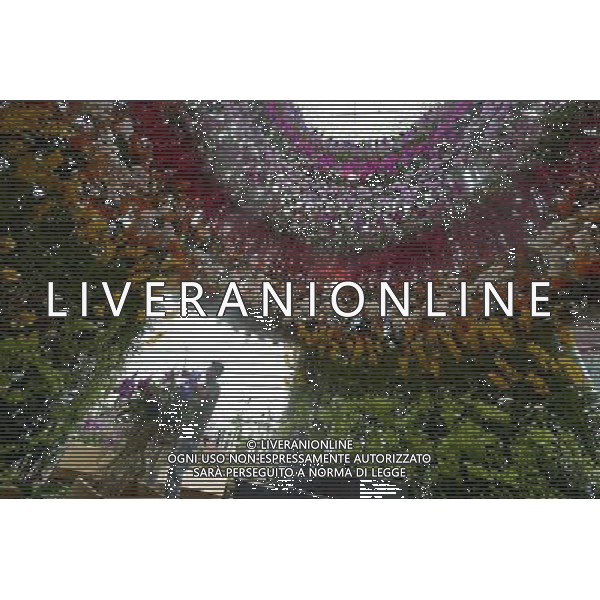 (140811) -- SINGAPORE, Aug. 11, 2014 () -- Workers prepare the display at the \'Orchid Extravaganza @ Flower Dome\' at the Singapore\'s Garden by the Bay on Aug. 11, 2014. The Singapore Garden Festival will open on Aug. 16.(/Then Chih Wey) ©PHOTOSHOT/Agenzia Aldo Liverani sas - ITALY ONLY - EDITORIAL USE ONLY