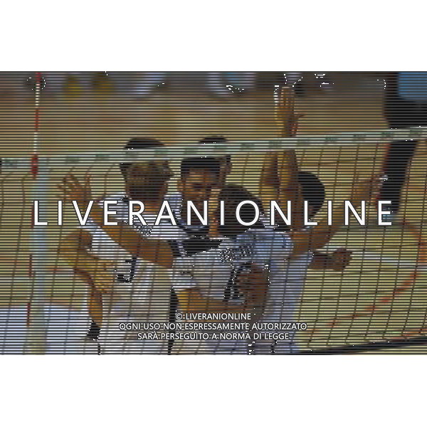 JOIE FRANCE - Nicolas MARECHAL - 12.08.2014 - France / Japon - Match Amical -Vendespace - Photo : Vincent Michel / Icon Sport AG ALDO LIVERANI SAS ONLY ITALY