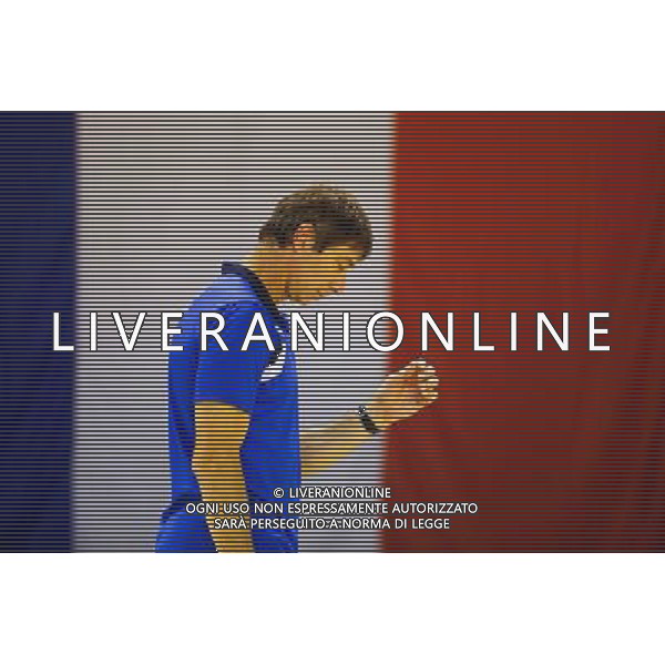 Laurent TILLIE - 12.08.2014 - France / Japon - Match Amical -Vendespace - Photo : Vincent Michel / Icon Sport AG ALDO LIVERANI SAS ONLY ITALY