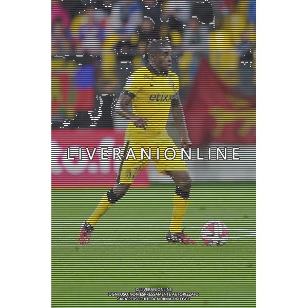 Rio Mavuba - 15.08.2014 - Caen / Lille - 2eme journee de Ligue 1 Photo : Aurelien Meunier / Icon Sport AG ALDO LIVERANI SAS ONLY ITALY
