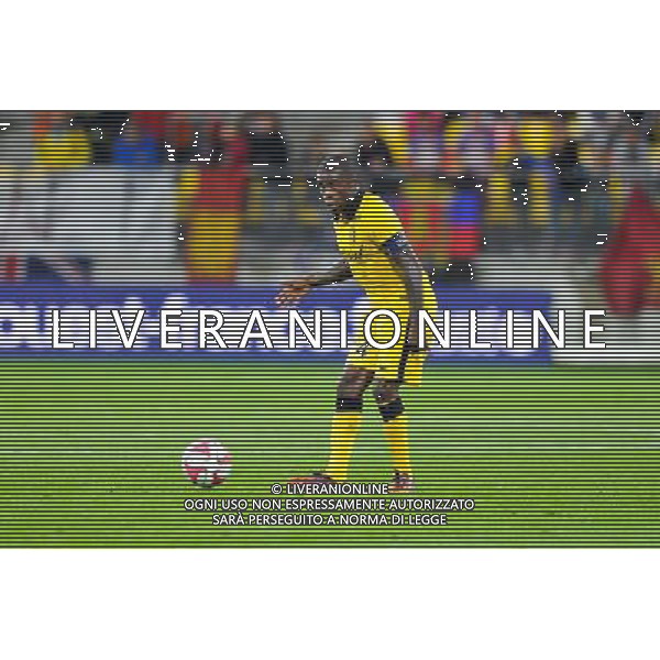 Rio Mavuba - 15.08.2014 - Caen / Lille - 2eme journee de Ligue 1 Photo : Aurelien Meunier / Icon Sport AG ALDO LIVERANI SAS ONLY ITALY