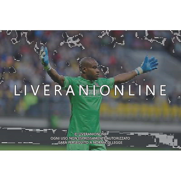 Vincent Enyeama - 15.08.2014 - Caen / Lille - 2eme journee de Ligue 1 Photo : Aurelien Meunier / Icon Sport AG ALDO LIVERANI SAS ONLY ITALY
