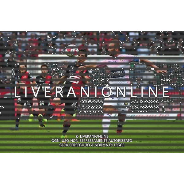 Vincent Pajot / Olivier Sorlin - 16.08.2014 - Rennes / Evian Thonon - 2eme journee de Ligue 1 - Photo : Philippe Le Brech / Icon Sport ag aldo liverani sas only italy