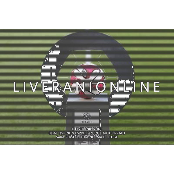Illustration ballon adidas ligue 1 - 16.08.2014 - Metz / Nantes - 2eme journee de Ligue 1 - Photo : Fred Marvaux / Icon Sport AG ALDO LIVERANI SAS ONLY ITALY