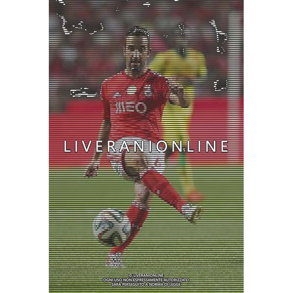 Rubem Amorim - 17.08.2014 - Benfica / Pacos de Ferreira - 1ere journee de Liga Sagres Photo : Carlos Rodrigues / Icon Sport