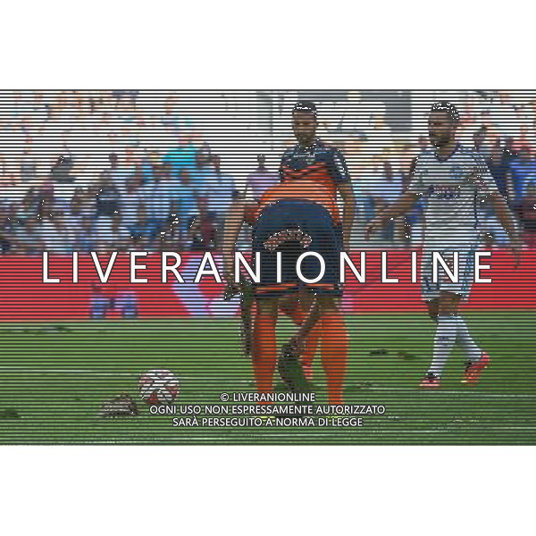 Illustration Pelouse Retournee - 17.08.2014 - Marseille / Montpellier - 2eme journee de Ligue 1 Photo : Fred Porcu / Icon Sport AG ALDO LIVERANI SAS ONLY ITALY