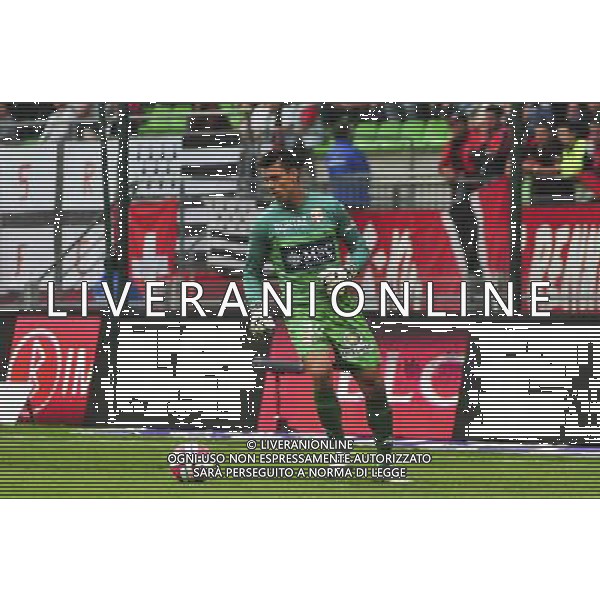 Jesper Hansen - 16.08.2014 - Rennes / Evian Thonon - 2eme journee de Ligue 1 Photo : Philippe Le Brech / Icon Sport AG ALDO LIVERANI SAS ONLY ITALY