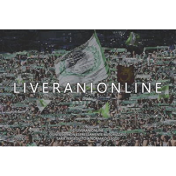 Supporters Saint Etienne - 17.08.2014 - Saint Etienne / Reims - 2eme journee de Ligue 1 Photo : Jean Paul Thomas / Icon Sport AG ALDO LIVERANI SAS ONLY ITALY