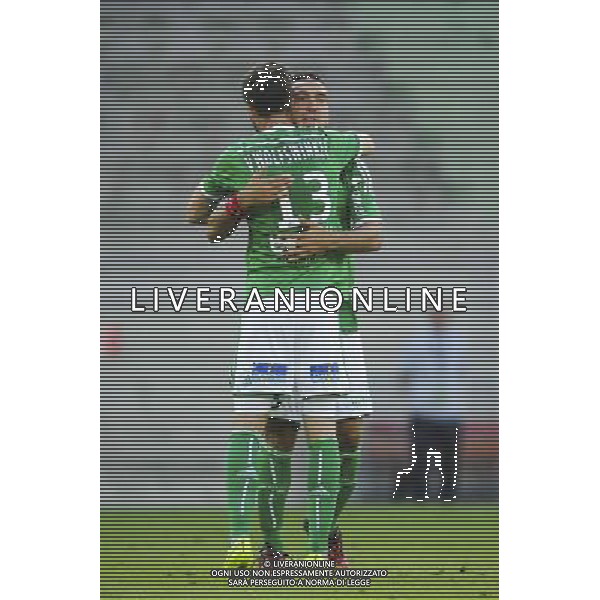 Ricky VAN WOLFSWINKEL / Mevlut ERDING - 17.08.2014 - Saint Etienne / Reims - 2eme journee de Ligue 1 Photo : Jean Paul Thomas / Icon Sport AG ALDO LIVERANI SAS ONLY ITALY