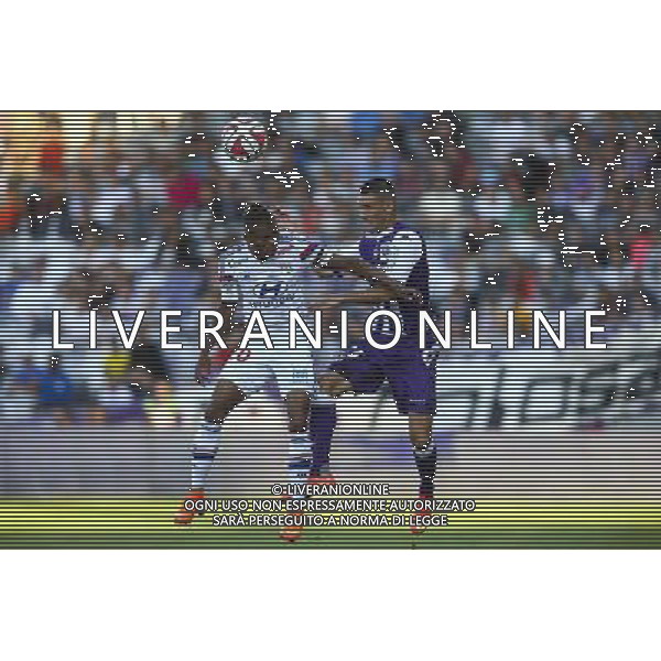 Clinton Njie / Dragos Grigore - 16.08.2014 - Toulouse / Lyon - 2eme journee de Ligue 1 - Photo : Manuel Blondeau / Icon Sport *** Local Caption *** AG ALDO LIVERANI SAS ONLY ITALY *** Local Caption ***