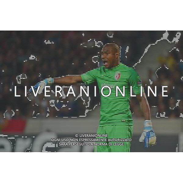 Vincent ENYEAMA - 20.08.2014 - Lille / Porto - Barrage Aller Champions League Photo : Dave Winter / Icon Sport AG ALDO LIVERANI SAS ONLY ITALY