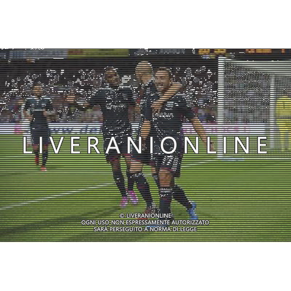 Joie Steed MALBRANQUE - 21.08.2014 - Lyon / Astra Giurgiu - Barrage aller Europa League Photo : Jean Paul Thomas / Icon Sport ag aldo liverani sas only italy