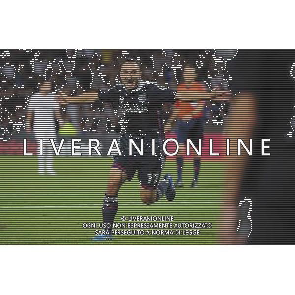 Joie Steed MALBRANQUE - 21.08.2014 - Lyon / Astra Giurgiu - Barrage aller Europa League Photo : Jean Paul Thomas / Icon Sport ag aldo liverani sas only italy