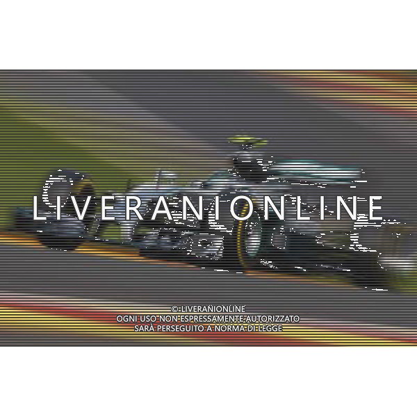 Nico Rosberg (GER) Mercedes AMG F1 W05. 23.08.2014. Formula 1 World Championship, Rd 12, Belgian Grand Prix, Spa Francorchamps, Belgium, Qualifying Day. AG ALDO LIVERANI SAS ONLY ITALY