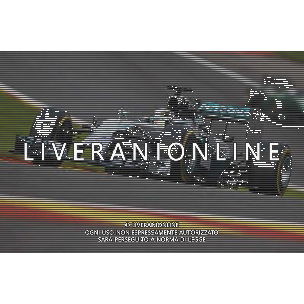 Lewis Hamilton (GBR) Mercedes AMG F1 W05. 23.08.2014. Formula 1 World Championship, Rd 12, Belgian Grand Prix, Spa Francorchamps, Belgium, Qualifying Day. AG ALDO LIVERANI SAS ONLY ITALY