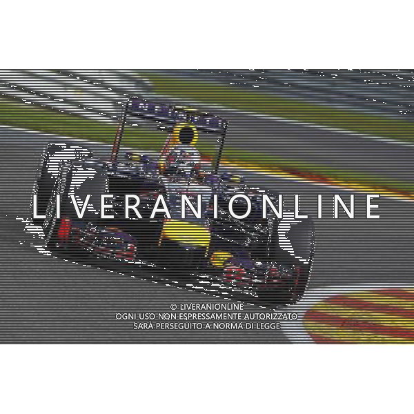 Daniel Ricciardo (AUS) Red Bull Racing RB10. 23.08.2014. Formula 1 World Championship, Rd 12, Belgian Grand Prix, Spa Francorchamps, Belgium, Qualifying Day. AG ALDO LIVERANI SAS ONLY ITALY
