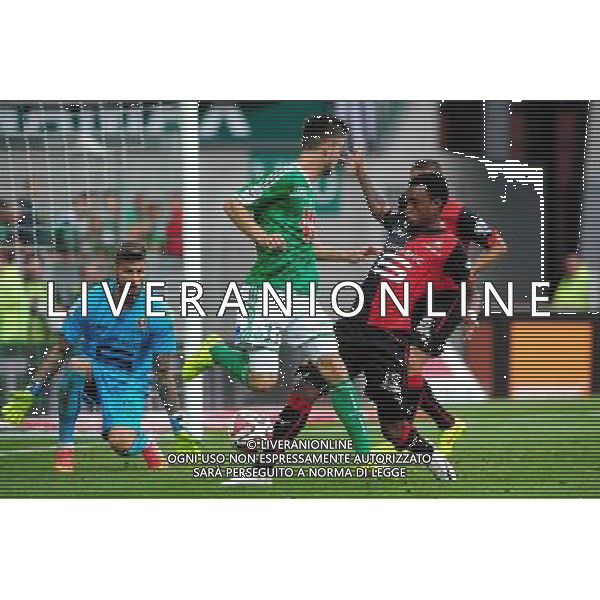 Talonnade Ricky VAN WOLFSWINKEL - 24.08.2014 - Saint Etienne / Rennes - 3e journee Ligue 1 Photo : Jean Paul Thomas / Icon Sport AG ALDO LIVERANI SAS ONLY ITALY