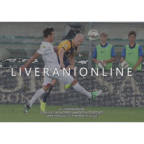 24-08-14 COPPA ITALIA VERONA CREMONESE HALLFREDSSON FOTO EXPRESS-AG ALDO LIVERANI SAS