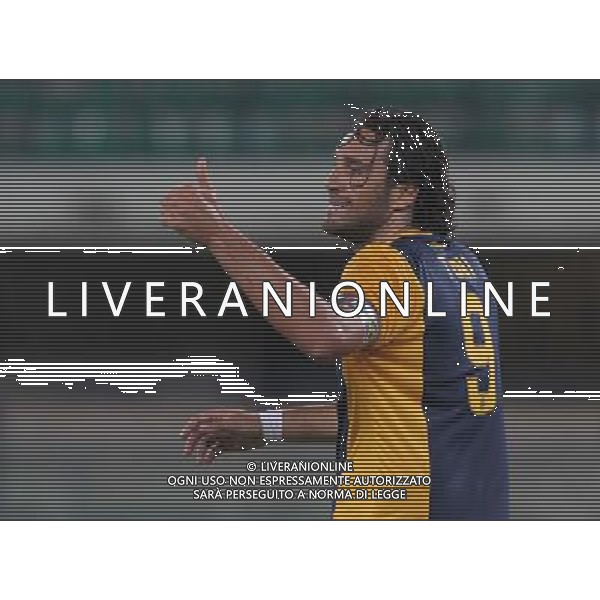 24-08-14 COPPA ITALIA VERONA CREMONESE TONI FOTO EXPRESS-AG ALDO LIVERANI SAS