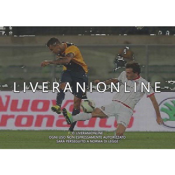 24-08-14 COPPA ITALIA VERONA CREMONESE JANKOVIC FOTO EXPRESS-AG ALDO LIVERANI SAS