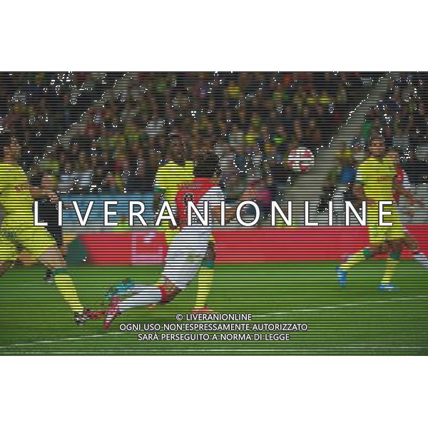 But Radamel FALCAO - 24.08.2014 - Nantes / Monaco - 3e journee Ligue 1 Photo : Dave Winter / Icon Sport AG ALDO LIVERANI SAS ONLY ITALY