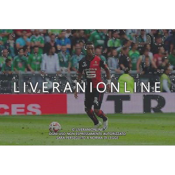 Edson MEXER - 24.08.2014 - Saint Etienne / Rennes - 3e journee Ligue 1 Photo : Jean Paul Thomas / Icon Sport AG ALDO LIVERANI SAS ONLY ITALY