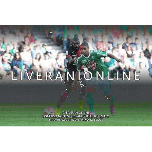 Kevin MONNET PAQUET - 24.08.2014 - Saint Etienne / Rennes - 3e journee Ligue 1 Photo : Jean Paul Thomas / Icon Sport AG ALDO LIVERANI SAS ONLY ITALY