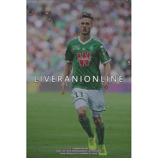 Ricky VAN WOLFSWINKEL - 24.08.2014 - Saint Etienne / Rennes - 3e journee Ligue 1 Photo : Jean Paul Thomas / Icon Sport AG ALDO LIVERANI SAS ONLY ITALY