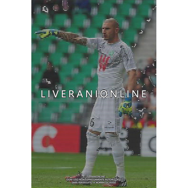 Stephane RUFFIER - 24.08.2014 - Saint Etienne / Rennes - 3e journee Ligue 1 Photo : Jean Paul Thomas / Icon Sport AG ALDO LIVERANI SAS ONLY ITALY